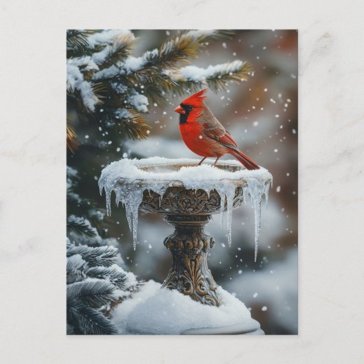 Carte Postale Oiseau cardinal rouge sur un Oiseau congelé Art (Devant)