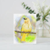 Carte Postale Oiseau Chanteur Doré (Debout devant)