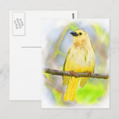 Carte Postale Oiseau Chanteur Doré (Devant / Derrière)