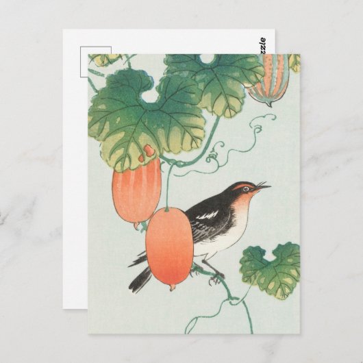 Carte Postale Oiseau chanteur en concombre Tableau Plante par Oh (Devant / Derrière)