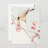 Carte Postale Oiseau chanteur sur une branche en fleurs - Ohara  (Devant / Derrière)