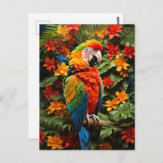 Carte Postale Oiseau coloré Macaw (Devant / Derrière)