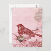 Carte Postale Oiseau d'amour rose (Devant / Derrière)