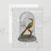 Carte Postale Oiseau dans cloche en verre (Devant / Derrière)