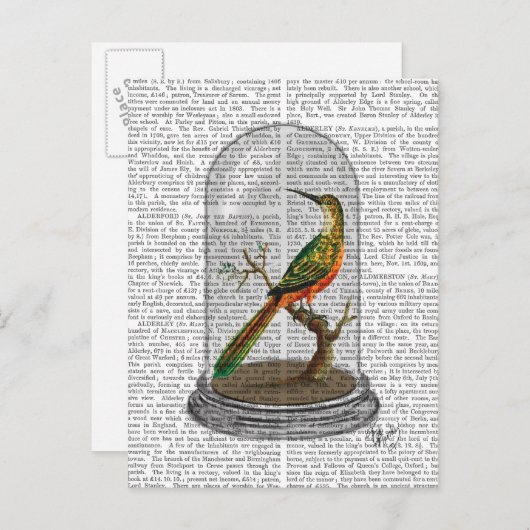 Carte Postale Oiseau dans cloche en verre (Devant / Derrière)