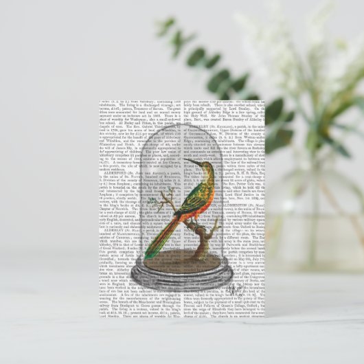 Carte Postale Oiseau dans cloche en verre (Debout devant)