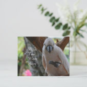 Carte Postale Oiseau dans l'arbre Kauai (Debout devant)