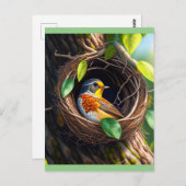 Carte Postale oiseau dans le nid (Devant / Derrière)