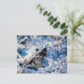 Carte Postale Oiseau Dans Les Branches Neiges (Debout devant)