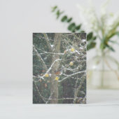 Carte Postale oiseau dans un arbre d'hiver (Debout devant)