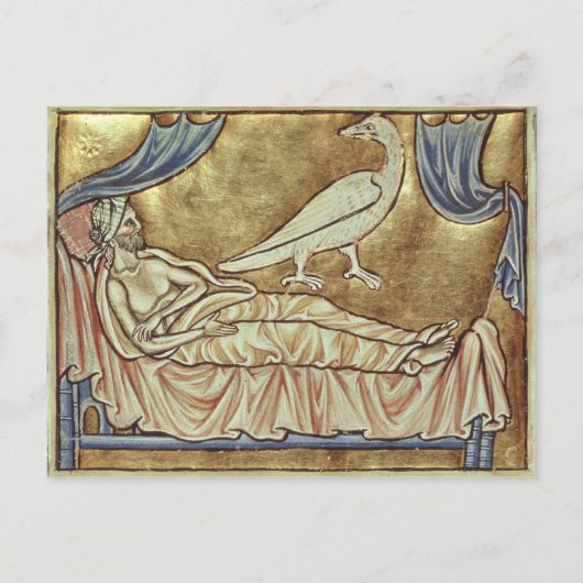 Carte Postale Oiseau de Caladrius, réputé pour prédire (Devant)