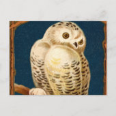 Carte Postale Oiseau De Chouette Neige - Premier Jour D'Hiver (Devant)