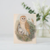 Carte postale Oiseau de Chouette vintage (Debout devant)