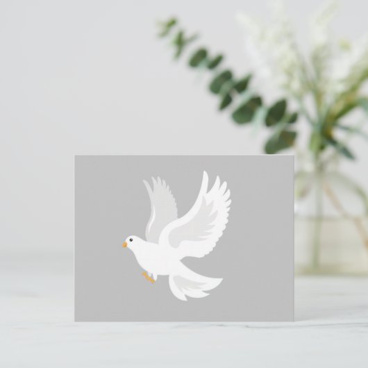 Carte Postale Oiseau de colombe blanche sur gris (Debout devant)