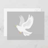 Carte Postale Oiseau de colombe blanche sur gris (Devant / Derrière)