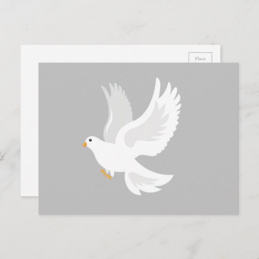 Carte Postale Oiseau de colombe blanche sur gris (Devant / Derrière)
