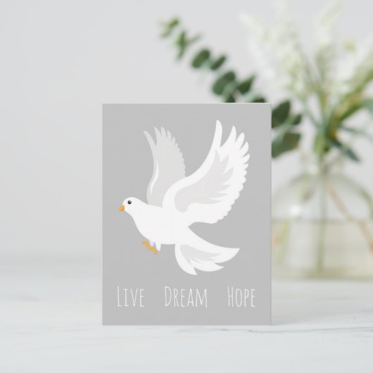 Carte Postale Oiseau de colombe blanche sur gris (Debout devant)