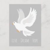 Carte Postale Oiseau de colombe blanche sur gris (Devant)