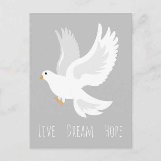 Carte Postale Oiseau de colombe blanche sur gris (Devant)