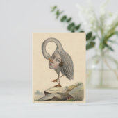 Carte Postale Oiseau de connaissance de soi Symbole antique uniq (Debout devant)