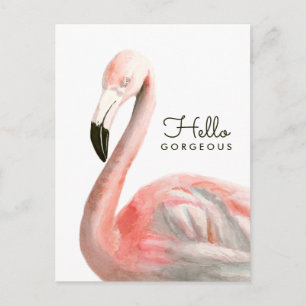 Carte Postale Oiseau de Flamant rose tropical