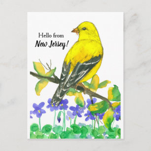 Carte Postale Oiseau de Goldfinch Oriental Bonjour Du New Jersey