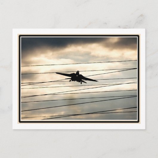 Carte Postale Oiseau de guerre (Devant)