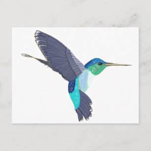 Carte Postale Oiseau de Humming bleu et vert