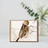Carte Postale Oiseau de l'amour_ (Debout devant)