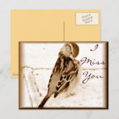 Carte Postale Oiseau de l'amour_ (Devant / Derrière)