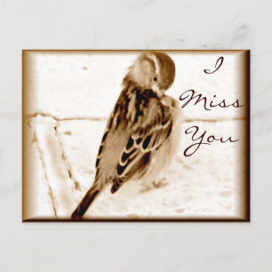 Carte Postale Oiseau de l'amour_