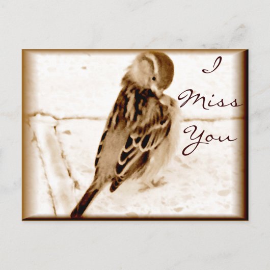 Carte Postale Oiseau de l'amour_ (Devant)
