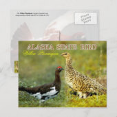 Carte Postale Oiseau de l'état de l'Alaska - Ptarmigan à saule (Devant / Derrière)