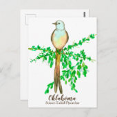 Carte Postale Oiseau de l'État de l'Oklahoma (Devant / Derrière)