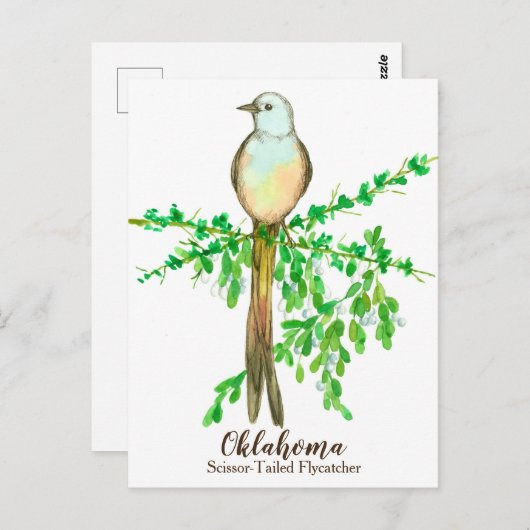 Carte Postale Oiseau de l'État de l'Oklahoma (Devant / Derrière)