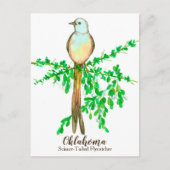 Carte Postale Oiseau de l'État de l'Oklahoma (Devant)