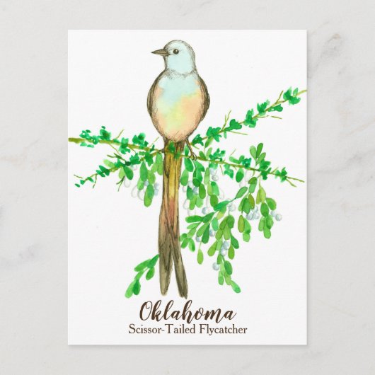 Carte Postale Oiseau de l'État de l'Oklahoma (Devant)
