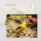 Carte Postale Oiseau de l'État de Washington - Goldfinch américa (Devant / Derrière)
