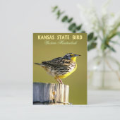 Carte Postale Oiseau de l'État du Kansas - Meadowlark occidental (Debout devant)