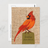 Carte Postale Oiseau de l'Illinois (Devant / Derrière)