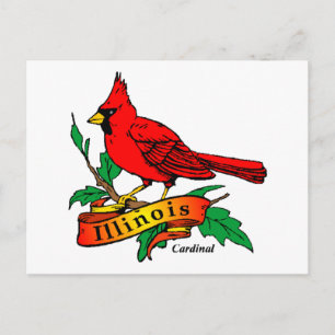Carte Postale Oiseau de l'Illinois - Cardinal