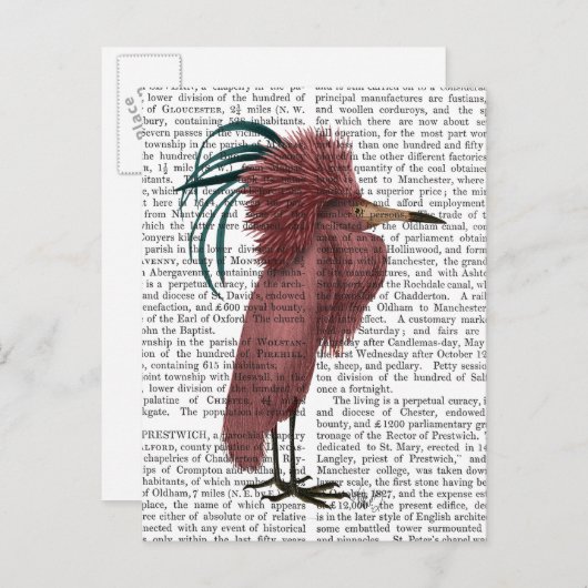 Carte Postale Oiseau de Marsala mis en berne (Devant / Derrière)