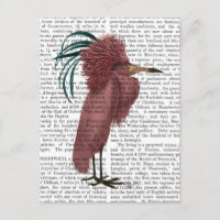 Oiseau de Marsala mis en berne
