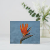 Carte Postale oiseau de paradis (Debout devant)