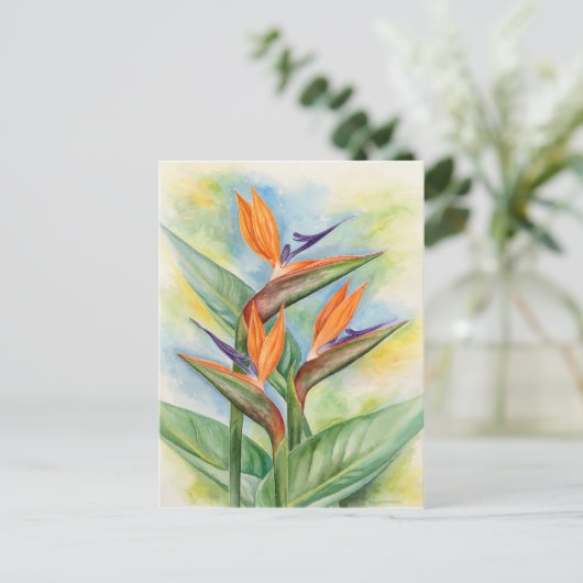Carte Postale Oiseau De Paradis Fleur Art - Multi (Debout devant)
