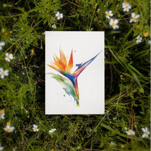 Carte Postale Oiseau de paradis fleur exotique clair aquarelle
