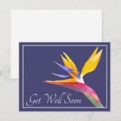 Carte Postale Oiseau de Paradis Fond Bleu Marine Meilleurs Vœux (Devant / Derrière)