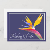 Carte Postale Oiseau de Paradis Fond Bleu Marine Pensant à Vous (Devant / Derrière)