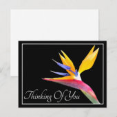 Carte Postale Oiseau de Paradis Fond Noir Pensées pour Toi (Devant / Derrière)