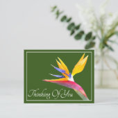 Carte Postale Oiseau de Paradis Fond Vert Pensant à Vous (Debout devant)